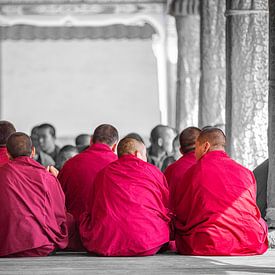 Sitzende tibetische Mönche von Jack Donker