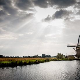 Mühle bei Abcoude von Bart Van Dijk