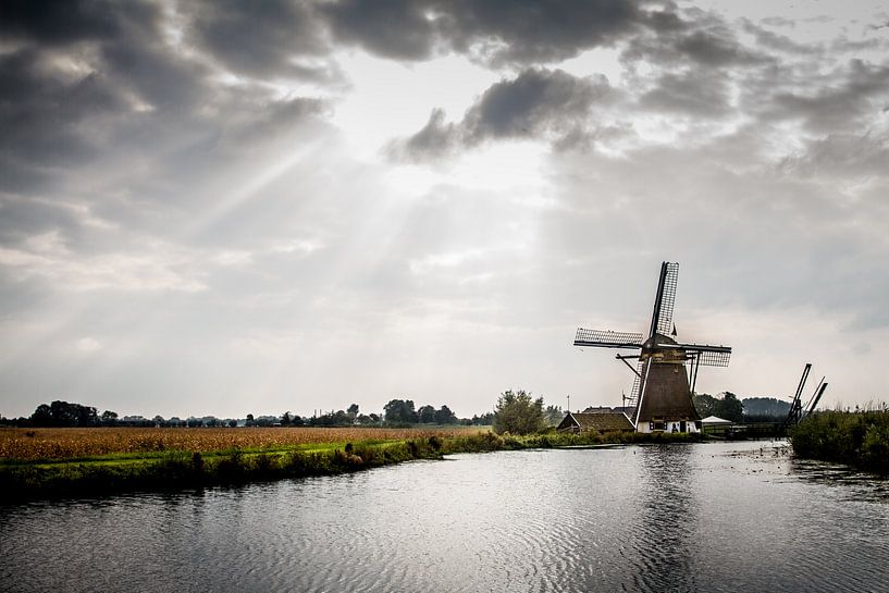 Mühle bei Abcoude von Bart Van Dijk