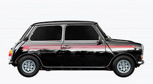 Mini 1000 Super
