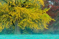 Gelber Baum von Ronald Kamphuis Miniaturansicht