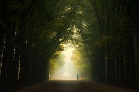 Läufer am frühen Morgen. von Fabrizio Micciche