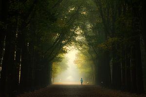 Coureur tôt le matin.