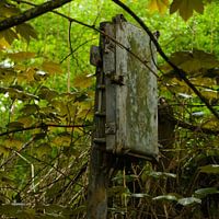 Call from the past