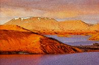Het gouden uur bij Skútustaðir van Frans Blok - foto's, kunst en andere wanddecoratie thumbnail