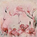 Flamingo von Andrea Haase Miniaturansicht