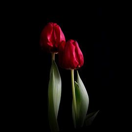 ein junges Paar so nah #011