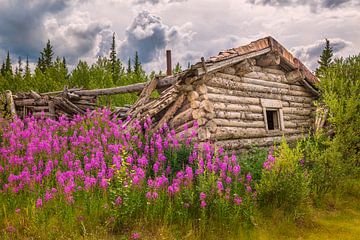 Nature will take it back by Denis Feiner