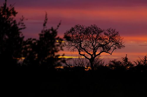 kruger sunset by Meleah Fotografie