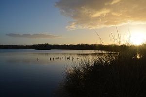 Nationaal park De Groote Peel