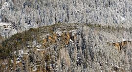 Verschneiter Berghang von Wouter van Woensel