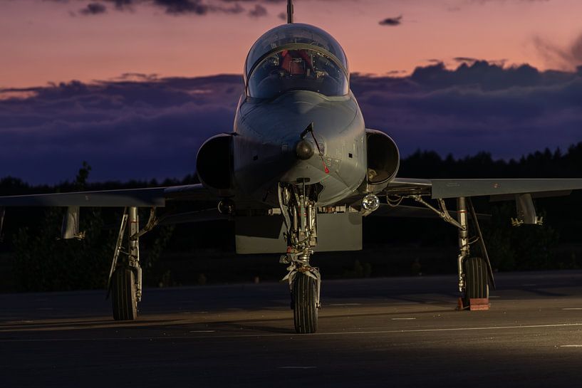 NF-5 néerlandais à voilure fermée sur l'ancienne base aérienne de Soesterberg par Harm-Jan Martens
