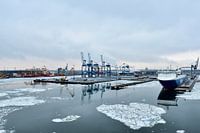 Haven Helsinki