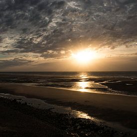 Gold am Abend von Cathfish photography by Cathie Lefieuw