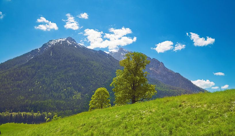 Alpine landscape by Bo Valentino