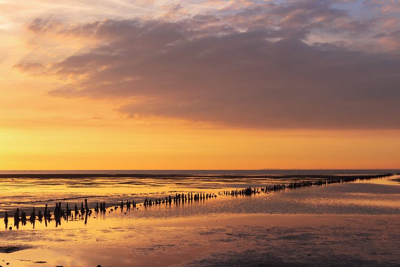 The mudflats at Eemshaven by Marga Vroom