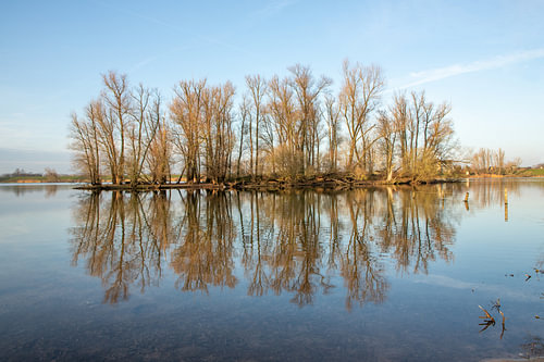 Spiegelende  herfstsfeer