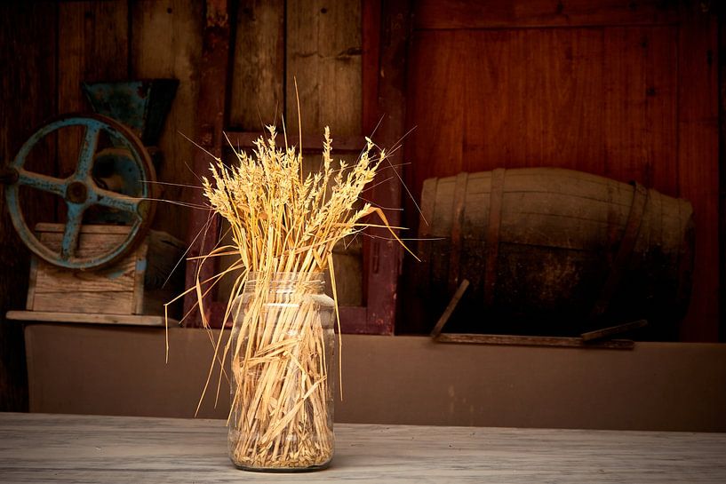 Wheat display by Graham Forrester