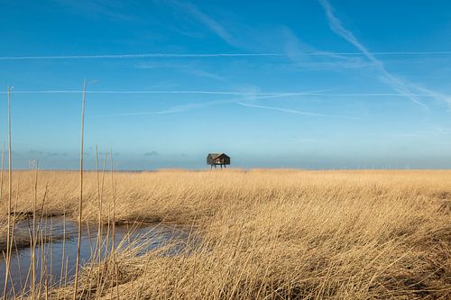 de Kiekkaaste bij Nieuw Statenzijl aan de Dollard