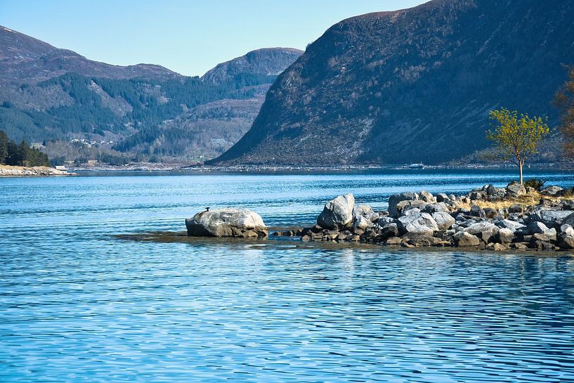 Fjord in Noorwegen met blauwe lucht van Martin Köbsch