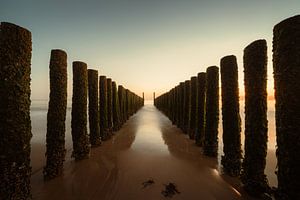 Wellenbrecher Dishoek 1 von Andy Troy