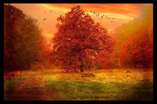 Grand arbre magnifique en couleur d'automne.