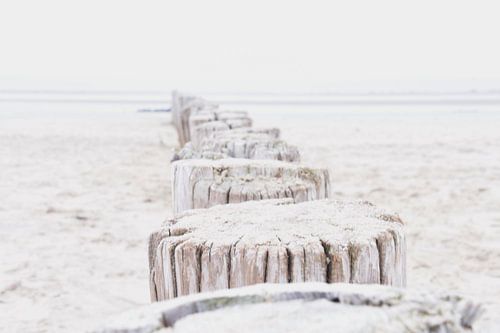 Low key Hollum Ameland