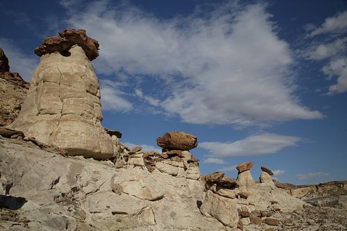 Hoodoo Forest (Rimrocks North) Grand Staircase-Escalante National Monument in zuidelijk Utah, Vereni
