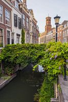 Kromme Nieuwegracht