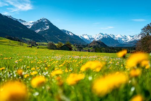 Schilderachtig uitzicht op de lente Allgäu en zijn bergen