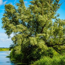 Mecklenburgische Fluss-Landschaft von Ullrich Gnoth
