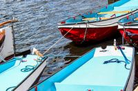 bootjes in Holland close up