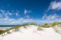 Longing for beach and sea