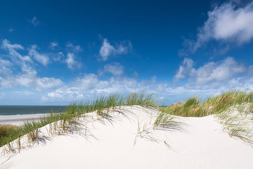 Verlangen naar strand en zee