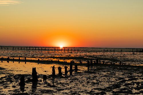 Waddenzee, zonsopkomst bij Paesens Moddergat