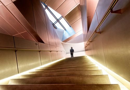 Design architecture music house