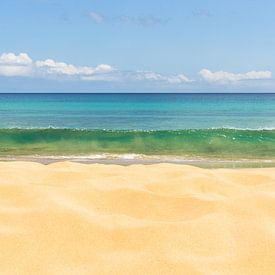 Strand von Michel van Kooten