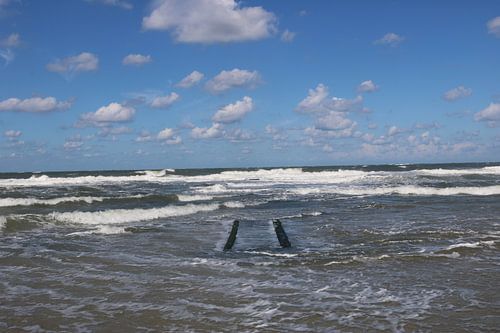 Onstuimige zee