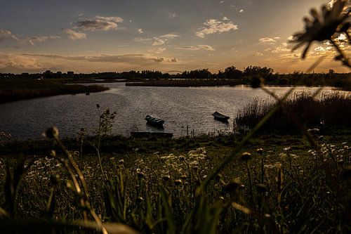 zonsondergang Ooijpolder