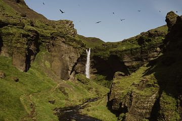 Kvernufoss, Wasserfall in Island von Fenna Duin-Huizing