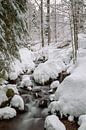 Bach im Winter von Dirk Rüter Miniaturansicht