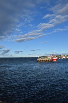 View of the harbour on a summer evening by Claude Laprise