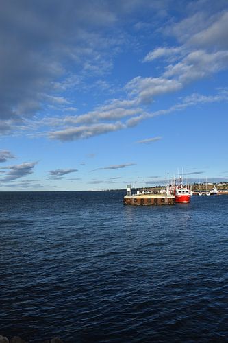 Uitzicht op de haven op een zomeravond