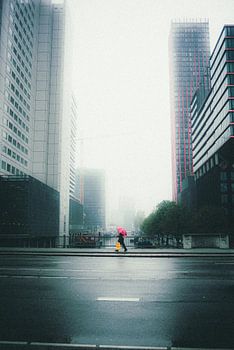 Farbe im Rotterdamer Nebel