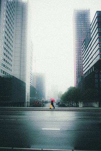 A splash of colour in the Rotterdam fog
