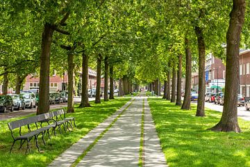 Breda - Belcrum Speelhuislaan van I Love Breda