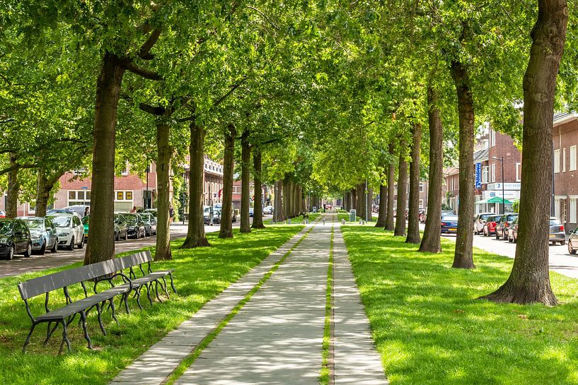 Breda - Belcrum Speelhuislaan van I Love Breda