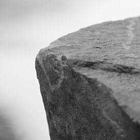 Stone. von Diederick Luijendijk