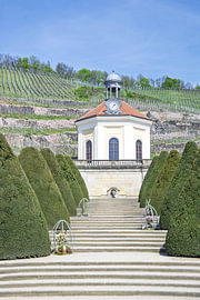 Frühlingslicht am Schloss Wackerbarth