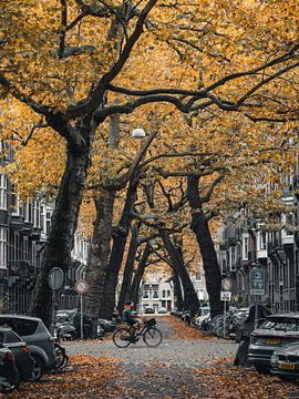 Lomanstraat in Herfst - Moody #3 van Roger Janssen